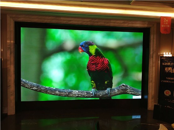 安慶弘陽(yáng)廣場(chǎng) (4).jpg