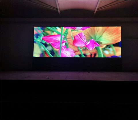 無為城南小學(xué)戶外P5