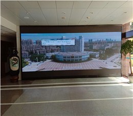 蕪湖縣政府室內(nèi)2.0