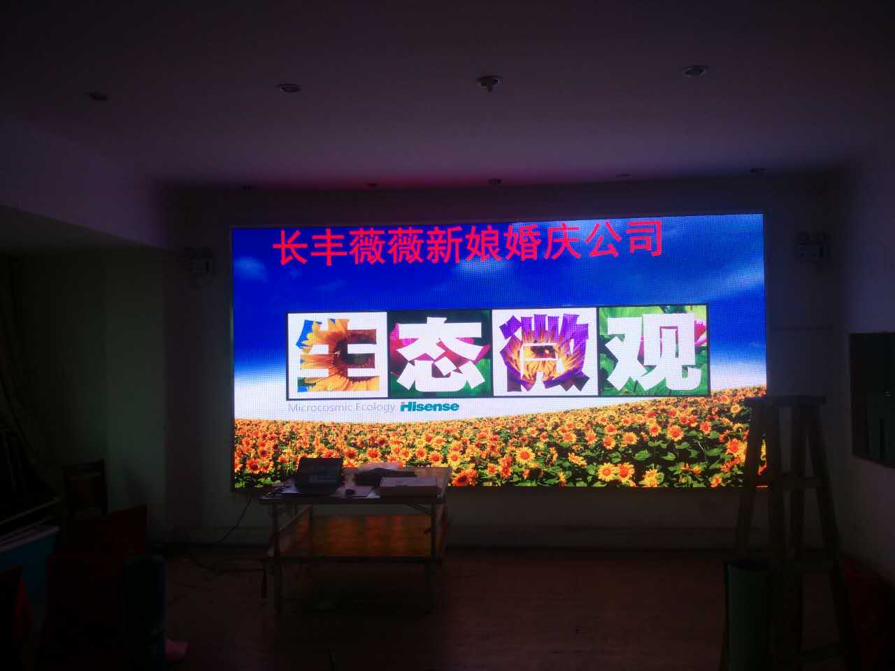 長(zhǎng)豐薇薇新娘 (4).jpg