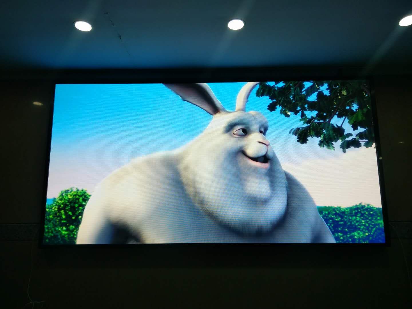 蕪湖鏡湖區(qū)檢察院P2全彩 蕪湖鏡湖區(qū)檢察院P2全彩